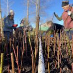 1.26.23 cuttings day at matson (17)