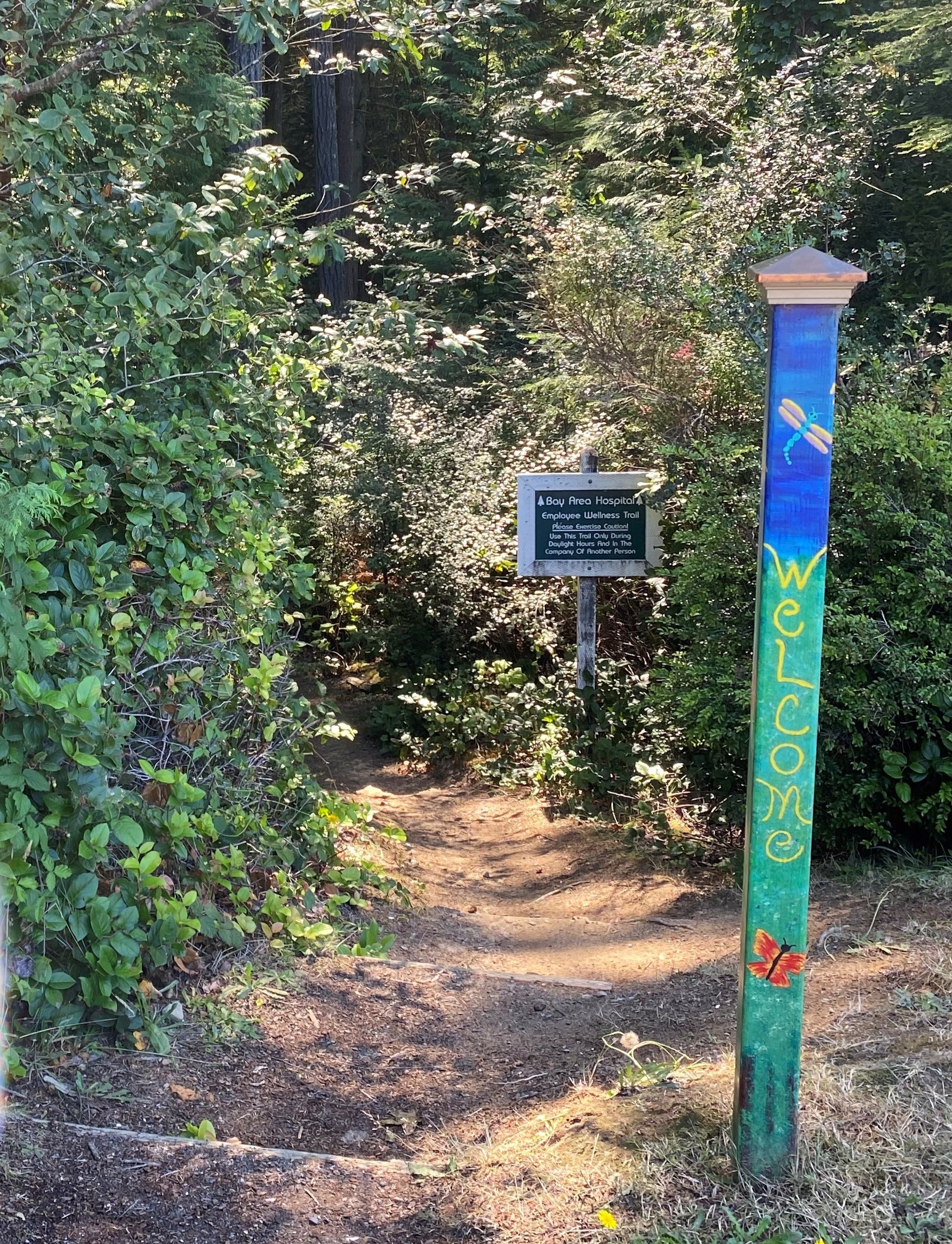 wellness trail3