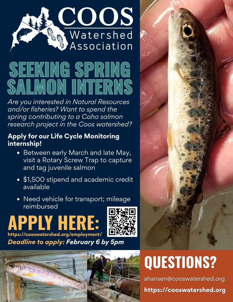 LCM-spring-2026-internship-2