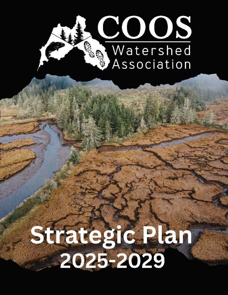 Strategic-Plan-1-768x994